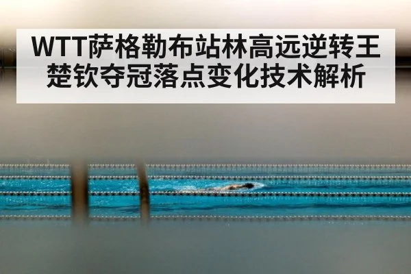 WTT萨格勒布站林高远逆转王楚钦夺冠落点变化技术解析
