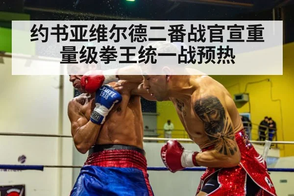 约书亚维尔德二番战官宣重量级拳王统一战预热